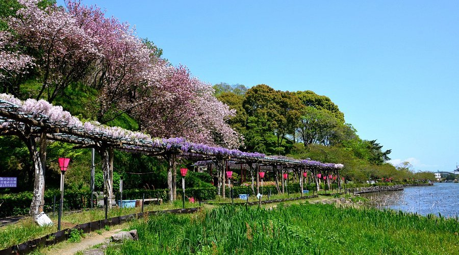 🏞️ 렌게지이케 공원 이미지 4